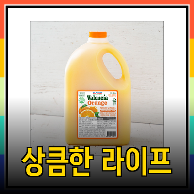 발렌시아 오렌지와 함께하는 상큼한 라이프스타일