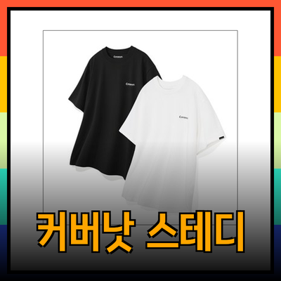 커버낫의 모든 것을 알아보자: 스테디셀러 제품 소개