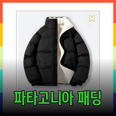 겨울을 따뜻하게 보내는 방법: 파타고니아 패딩 추천 제품들