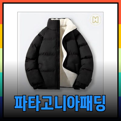 겨울 필수 아이템: 다양한 파타고니아 패딩 추천