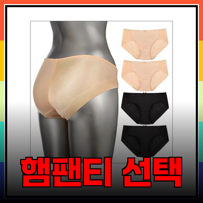 햄팬티로의 완벽한 선택
